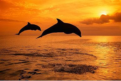 搞怪游戏《持枪松鼠》宣布8月29日登陆PC 主机版稍后推出